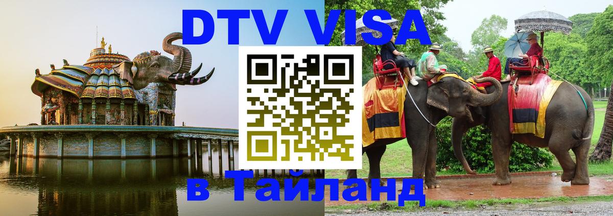 Оформление DTV визы под ключ: стоимость и тарифы, только загранпаспорт - Ульяновск 